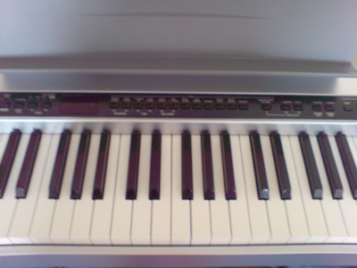 Casio PX-310